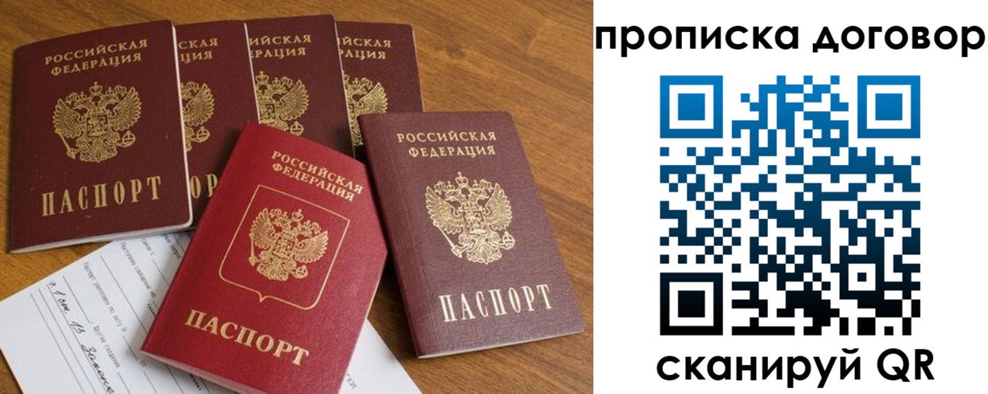 прописка поиск в Камышине